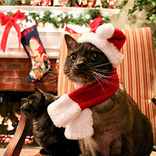 Acheter Mallalah 2 Pcs Chapeau Écharpe De Chat Chien Noël Chapeau De Père Noël Déguisement Rouge Small en Polyester Coton chez AMAZON.FR