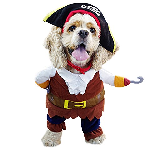 Acheter Pirate Costume Manteau Chapeau Mini Chien Hiver Chaud Vêtement Animaux Velours Déguisement Noël (Size3) chez AMAZON.FR