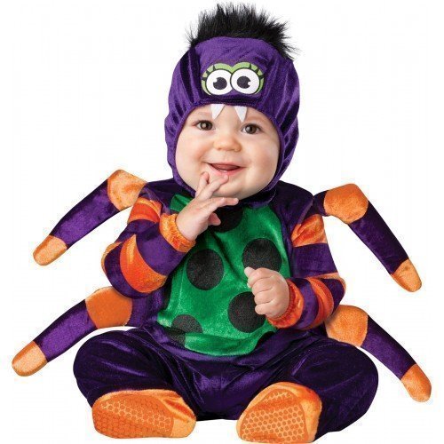 Acheter De Luxe Bébé Garçons Filles Itsy Bitsy Spider Journée Mondiale Du Livre Halloween En Character Costume Déguisement - Noir, 6-12 Mois chez AMAZON.FR