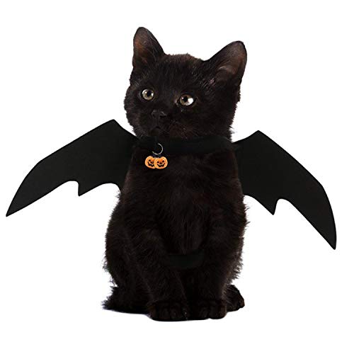 Acheter NICREW Costume Halloween Habiller, Noir Ailes de Chauve-Souris avec grelot de potiron pour Parer Animaux de Compagnie Chien Chat chez AMAZON.FR