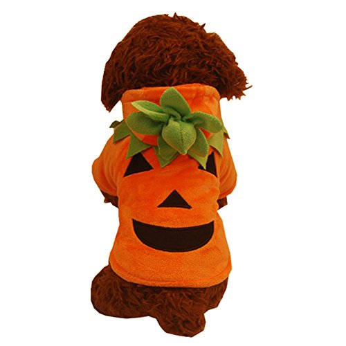 Acheter THEE Costume de Citrouille pour Chien ou Chat Vêtements pour Animaux Domestiques Déguisement de Fête Halloween chez AMAZON.FR