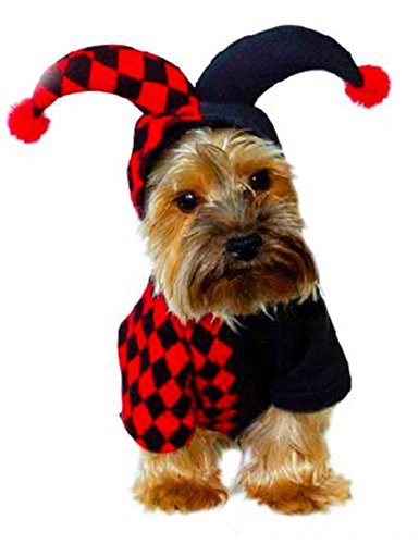 Acheter THEE Costume de Clown pour Chien ou Chat Vêtements pour Animaux Domestiques Déguisement de Fête Halloween chez AMAZON.FR