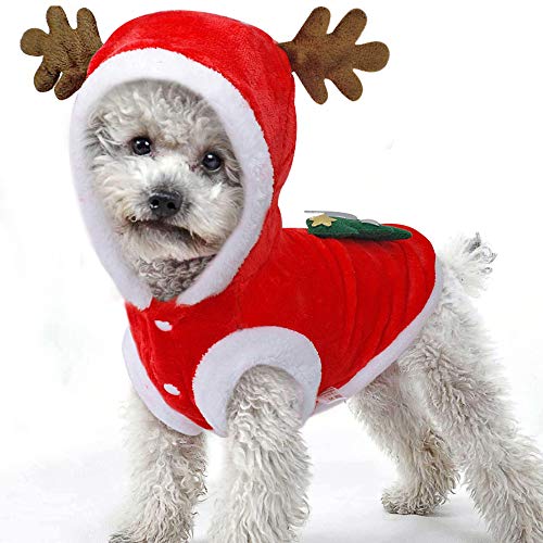 Acheter BulzEU Hiver Noël Vêtements Costume Cerf pour Animaux Chien/Chat (XL) chez AMAZON.FR