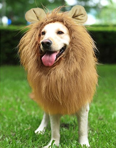 Acheter Crinière lion Perruque pour Grand Moyen Chiens avec Oreilles Drôle Cadeaux Animal Crinière Perruque de Lion Drap Bouton Réglable Noël Halloween Cosplay Fête Vacances Photographie Fêtes Lion Manne chez AMAZON.FR